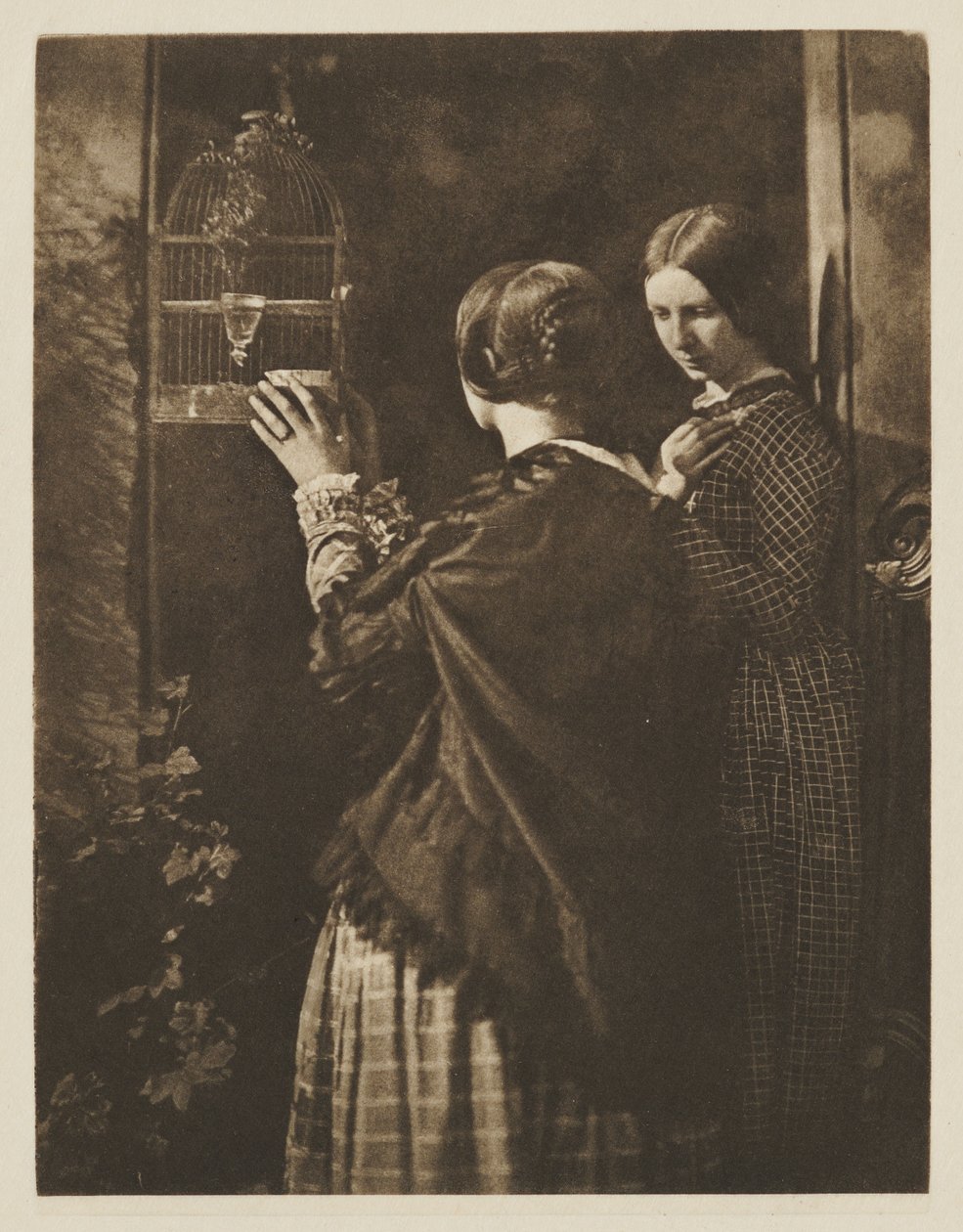 Der Vogelkäfig von David Octavius Hill