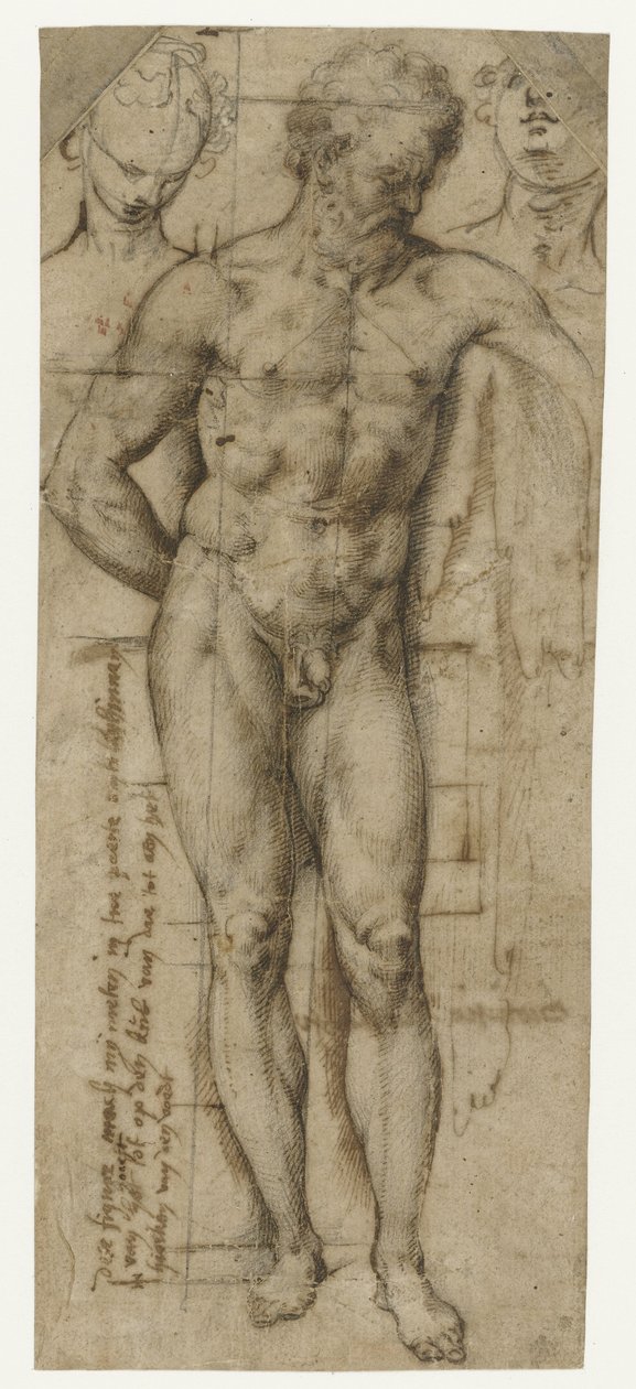 Studie eines nackten Mannes (Herkules?) und zwei Frauenköpfe von Denys Calvaert