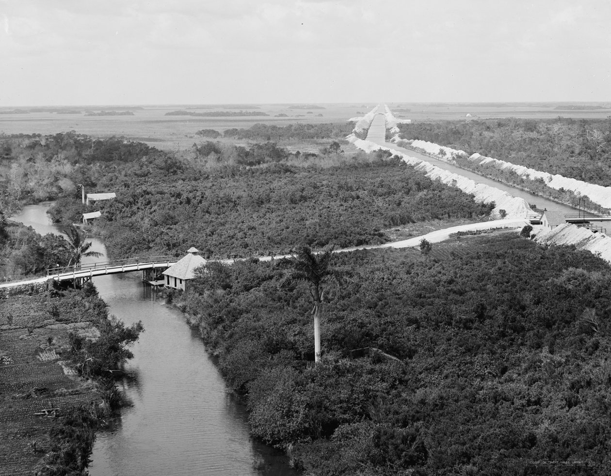 Entwässerungskanal und Everglades, Miami, Florida, um 1910-20 von Detroit Publishing Co.