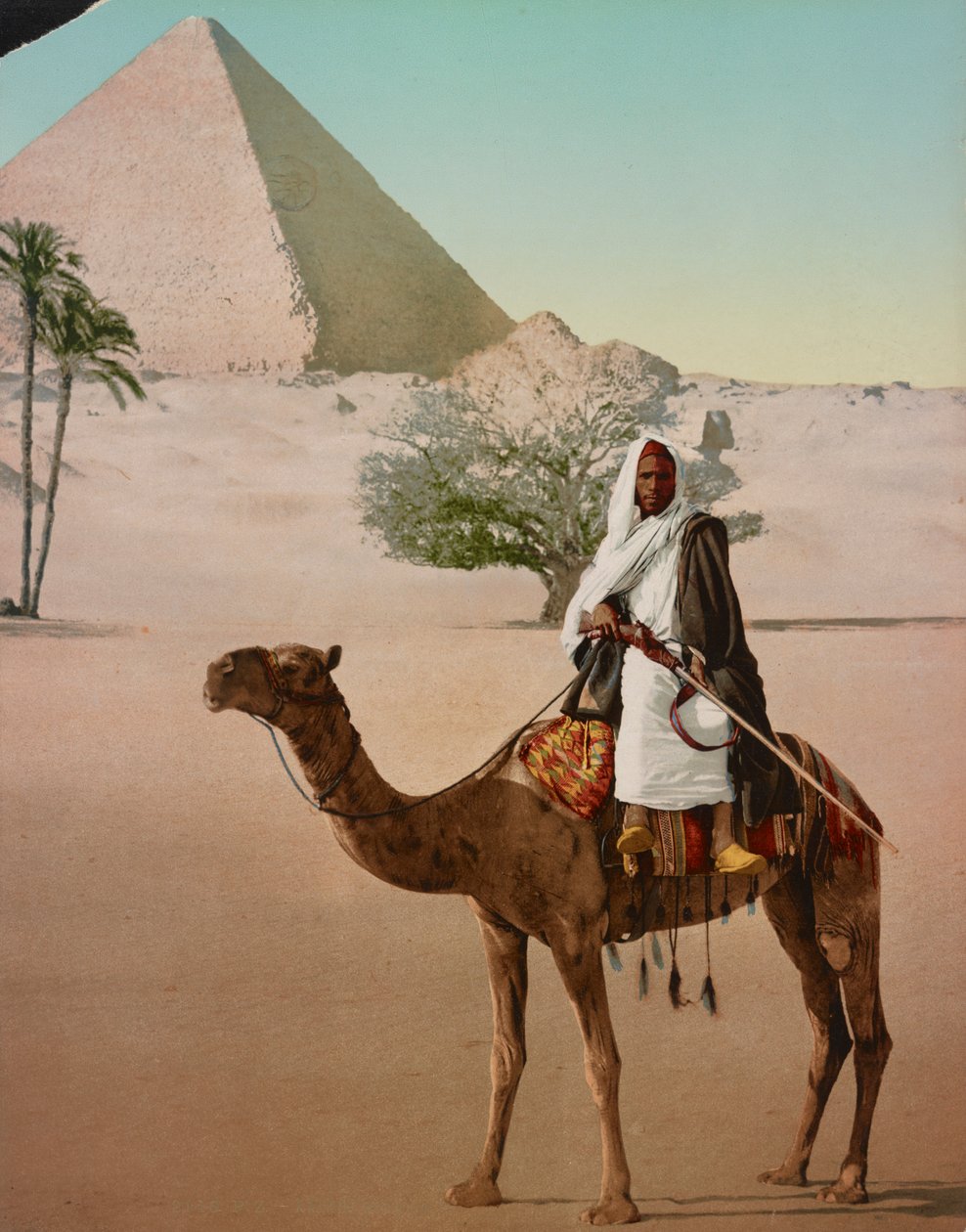 Beduine auf einem Kamel und die Große Pyramide, Kairo, Ägypten von Detroit Photographic Co.