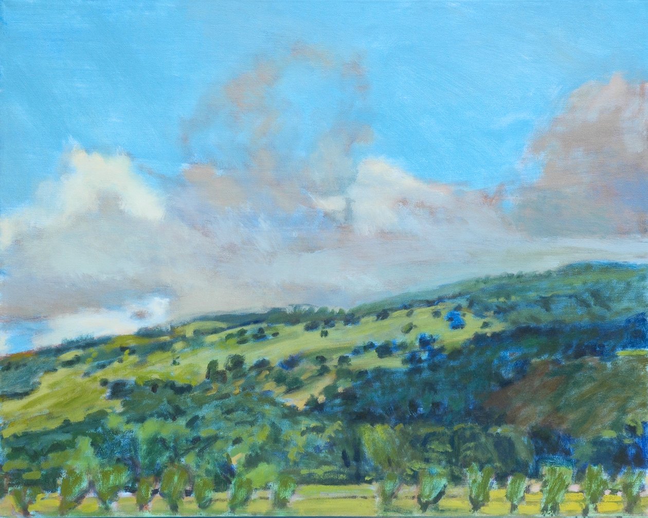 Kalifornische Hügel, 2006 von Diana Jahns