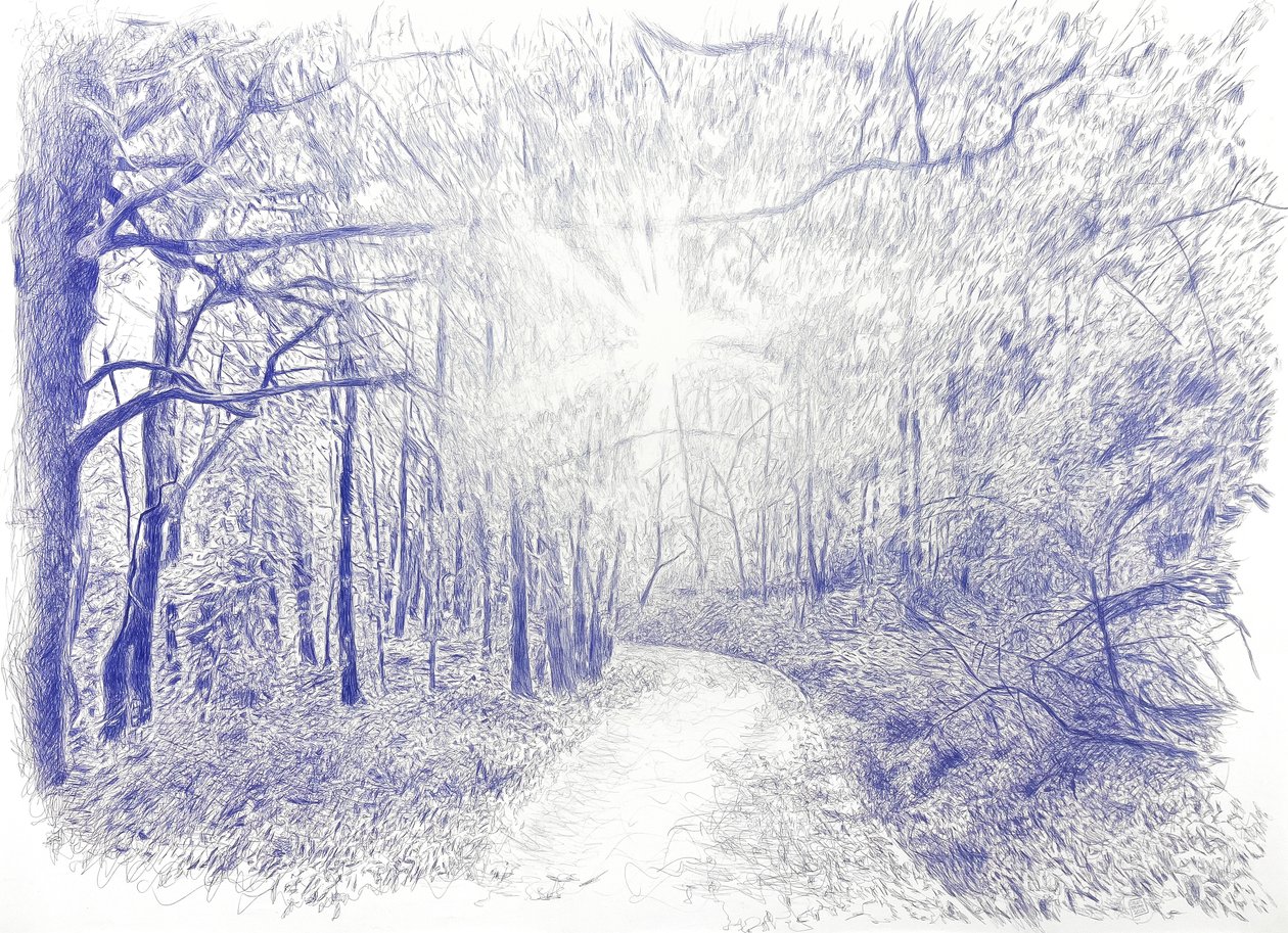 Wald im Gegenlicht von Diego Beyro