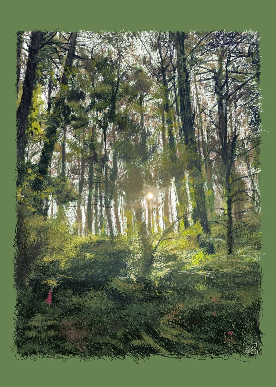 Zweige und Bäume im Gegenlicht, 2022 von Diego Beyro