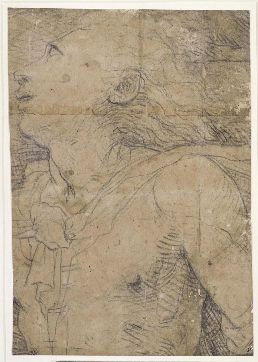 Aufblickender Jüngling, (Halbfigur), Fragment eines Kartons? von Domenico Beccafumi