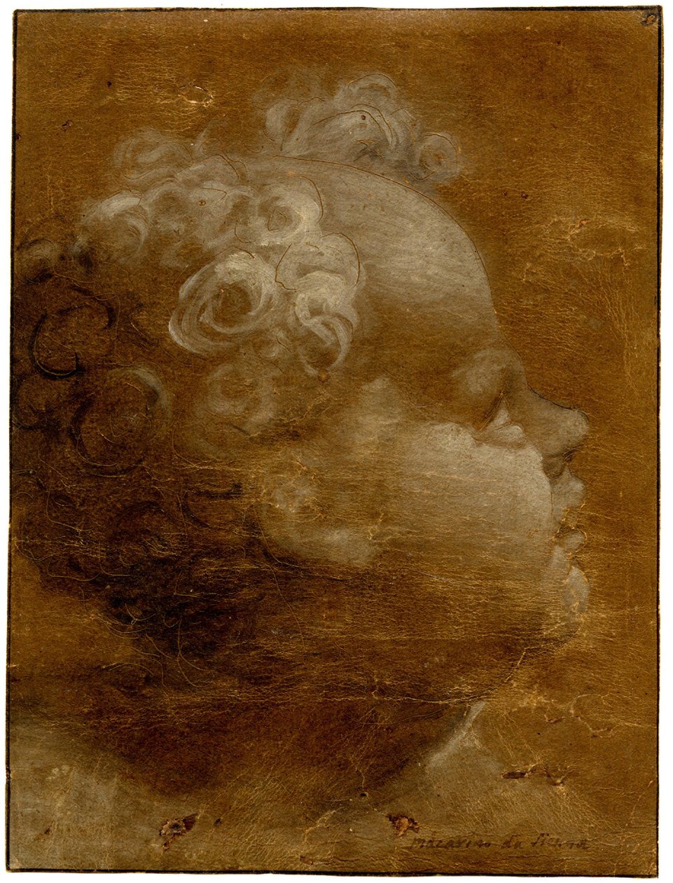 Kopf eines Kindes, das nach oben schaut, im Profil nach rechts, Pinselzeichnung in graubraun und weiß, 1528 von Domenico Beccafumi