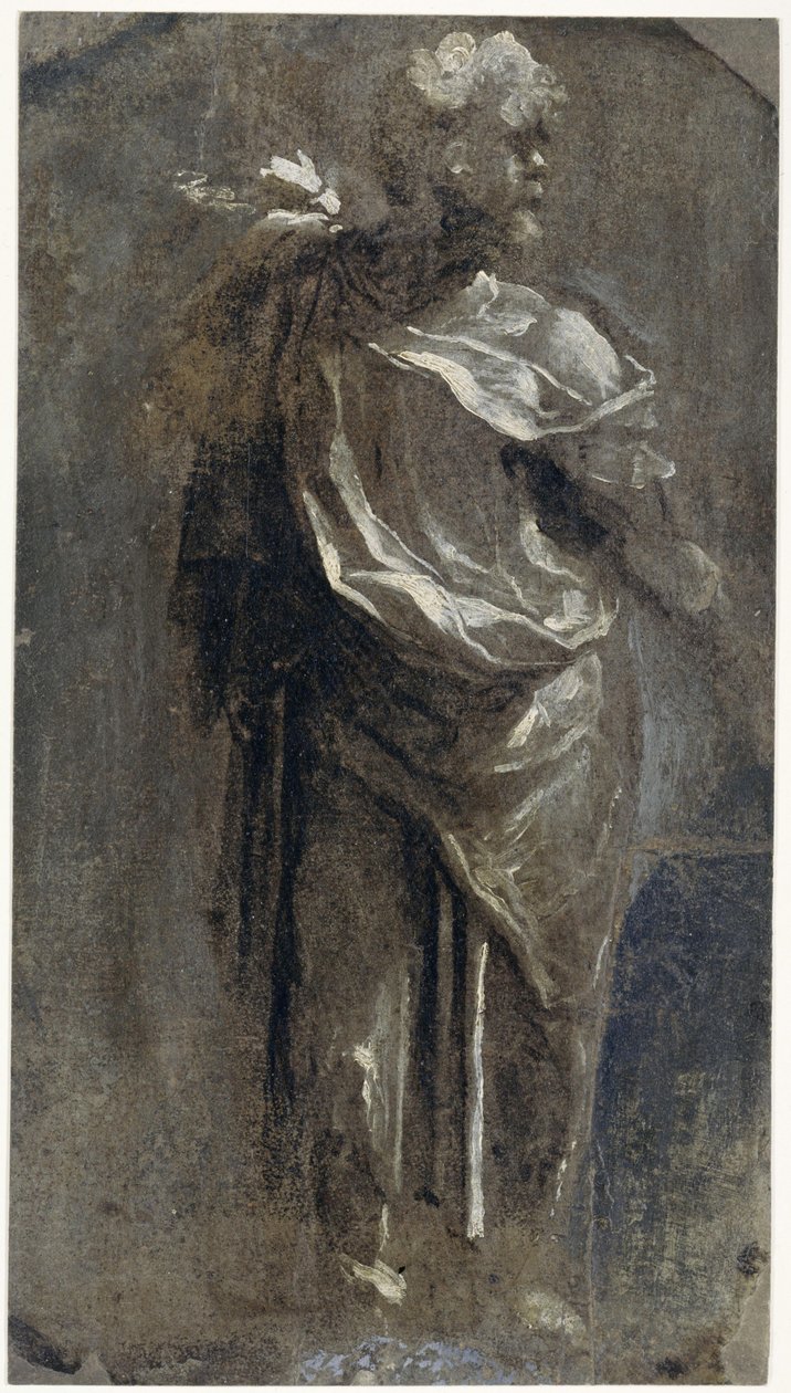 Publius Mutius von Domenico Beccafumi