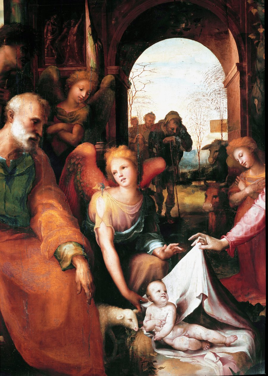 Die Geburt Christi (Detail) von Domenico Beccafumi