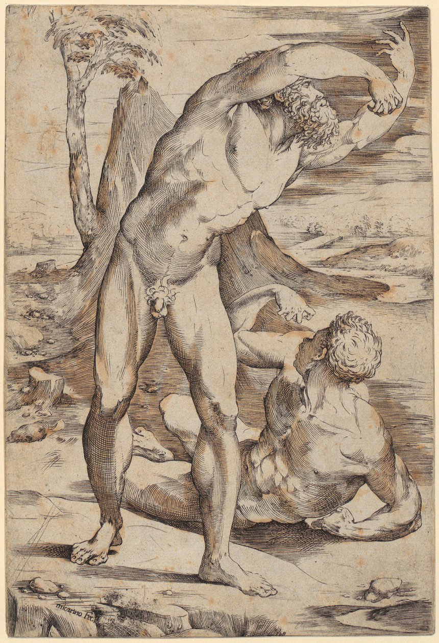 Zwei nackte Männer in einer Landschaft von Domenico Beccafumi