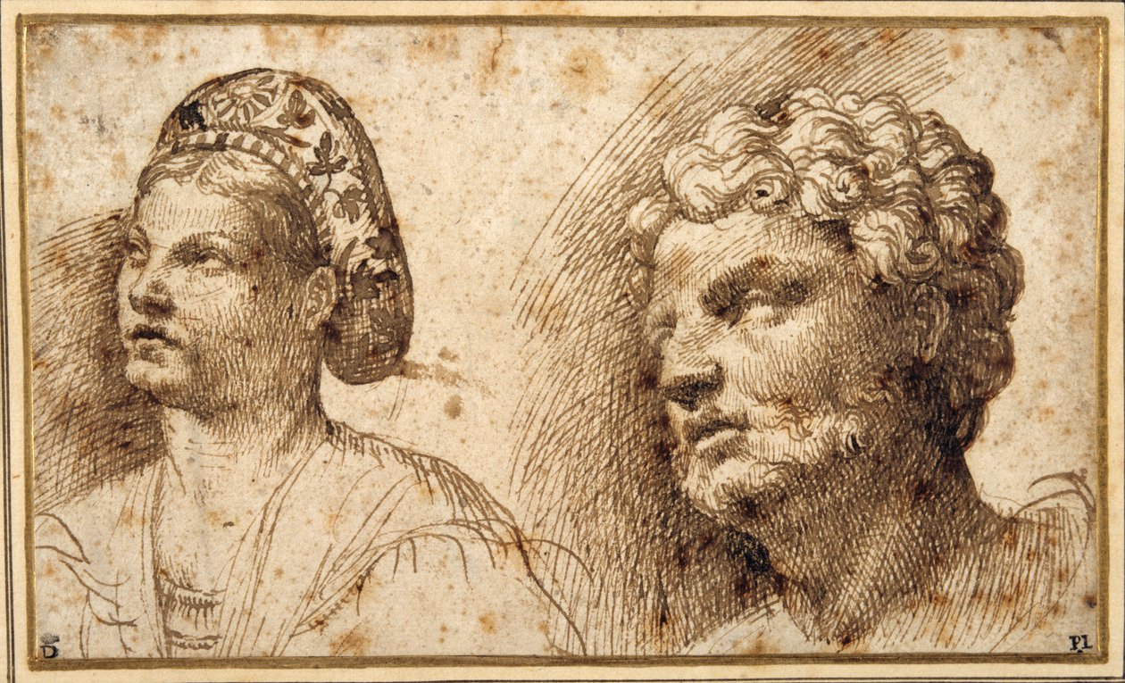 Studie des Kopfes und der Schultern einer jungen Frau mit Balza und des Kopfes eines bärtigen Mannes von Domenico Campagnola
