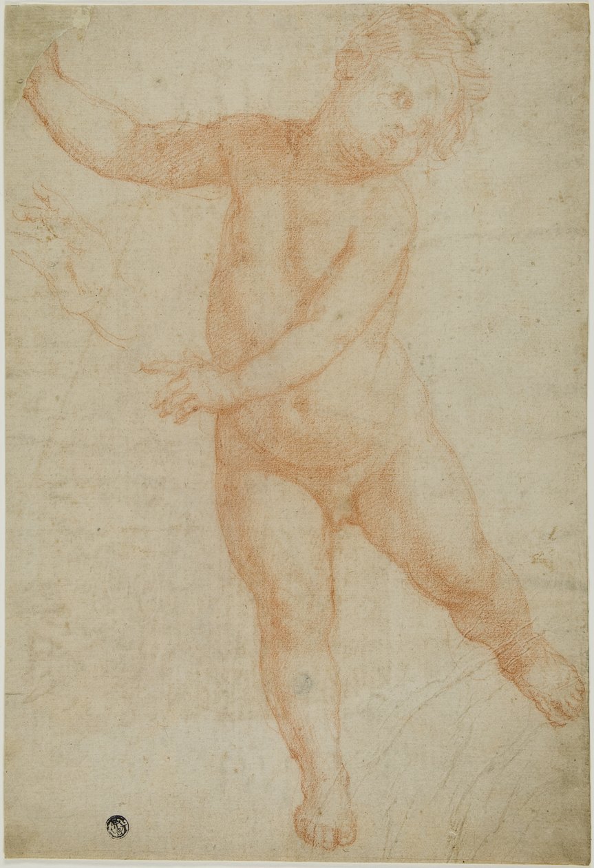 Putto auf rechtem Bein balancierend (recto); Skizze eines drapierten Arms (verso) von Domenico Cresti