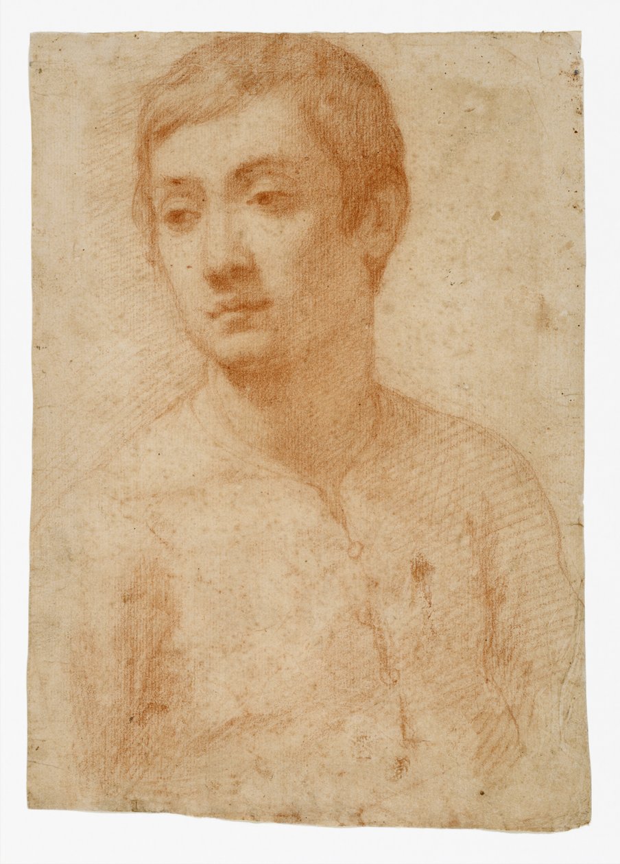 Der Kopf eines Jugendlichen von Domenico Cresti