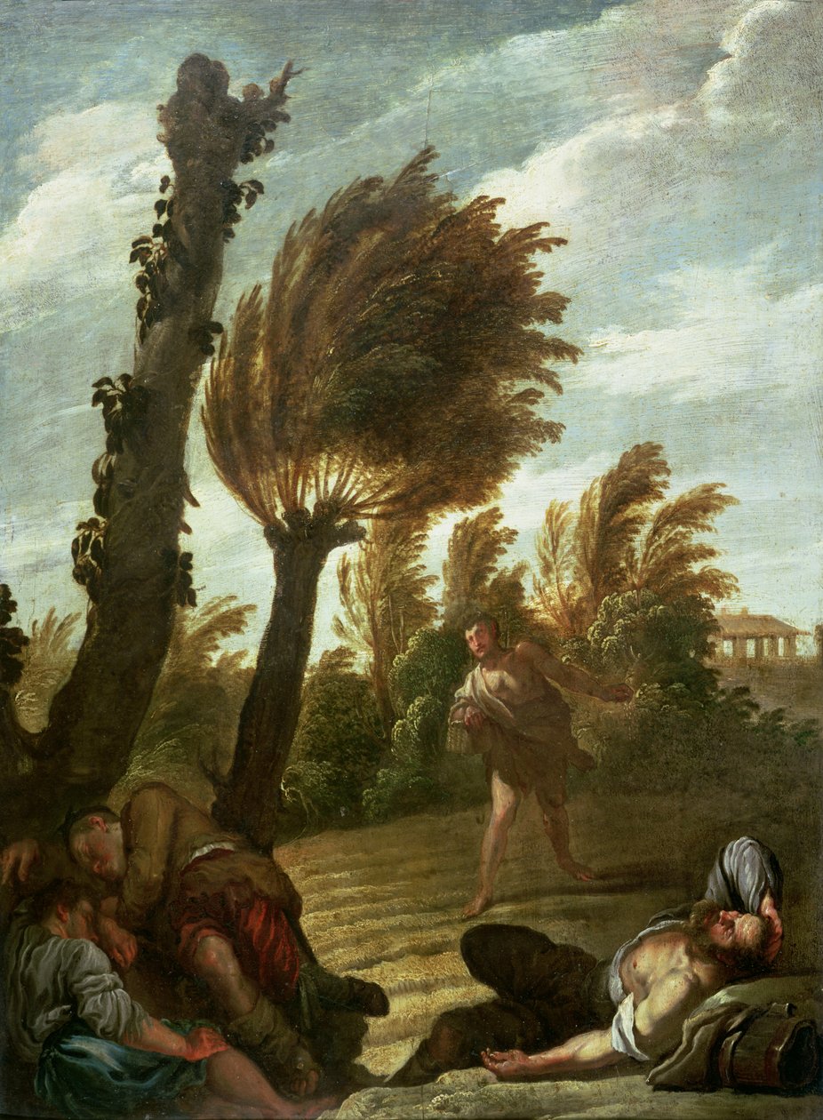Gleichnis vom Sämann und dem Unkraut, ca. 1620-21 von Domenico Fetti or Feti