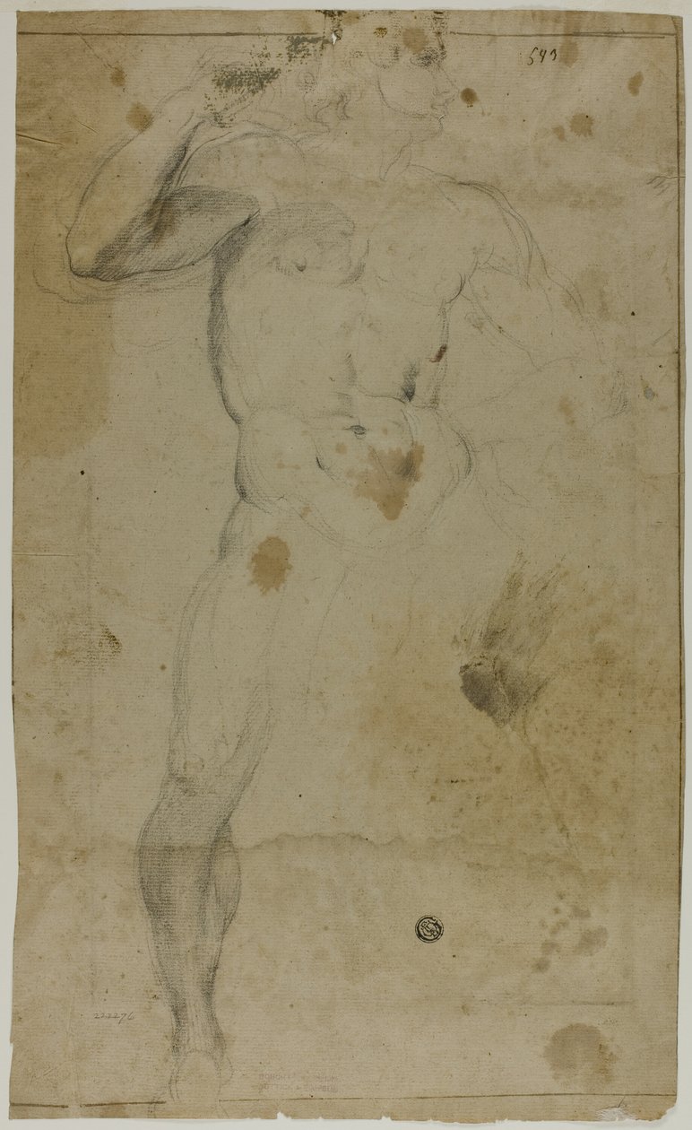 Stehender männlicher Akt (recto); Zwei männliche Halbfiguren, eine mit erhobenem Arm, die andere betend (verso) von Domenico Fiasella