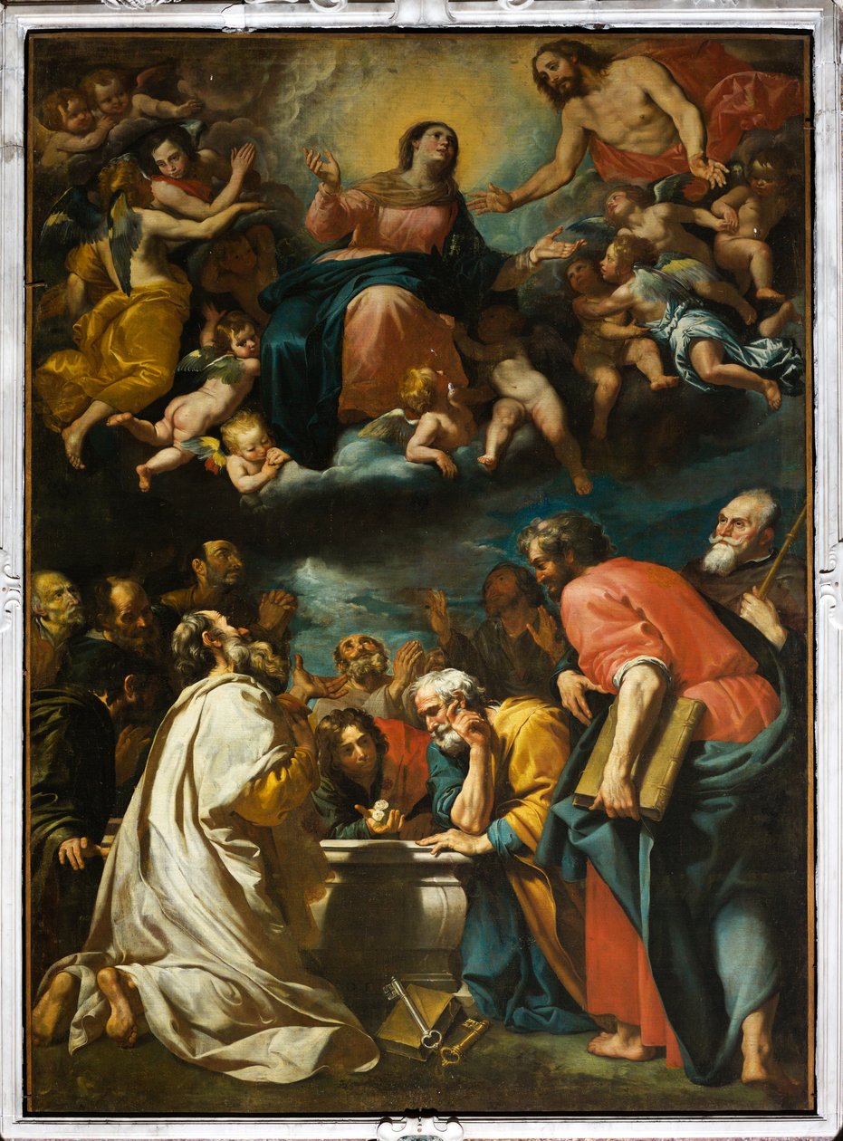 Mariä Himmelfahrt von Domenico Il Sarzana Fiasella