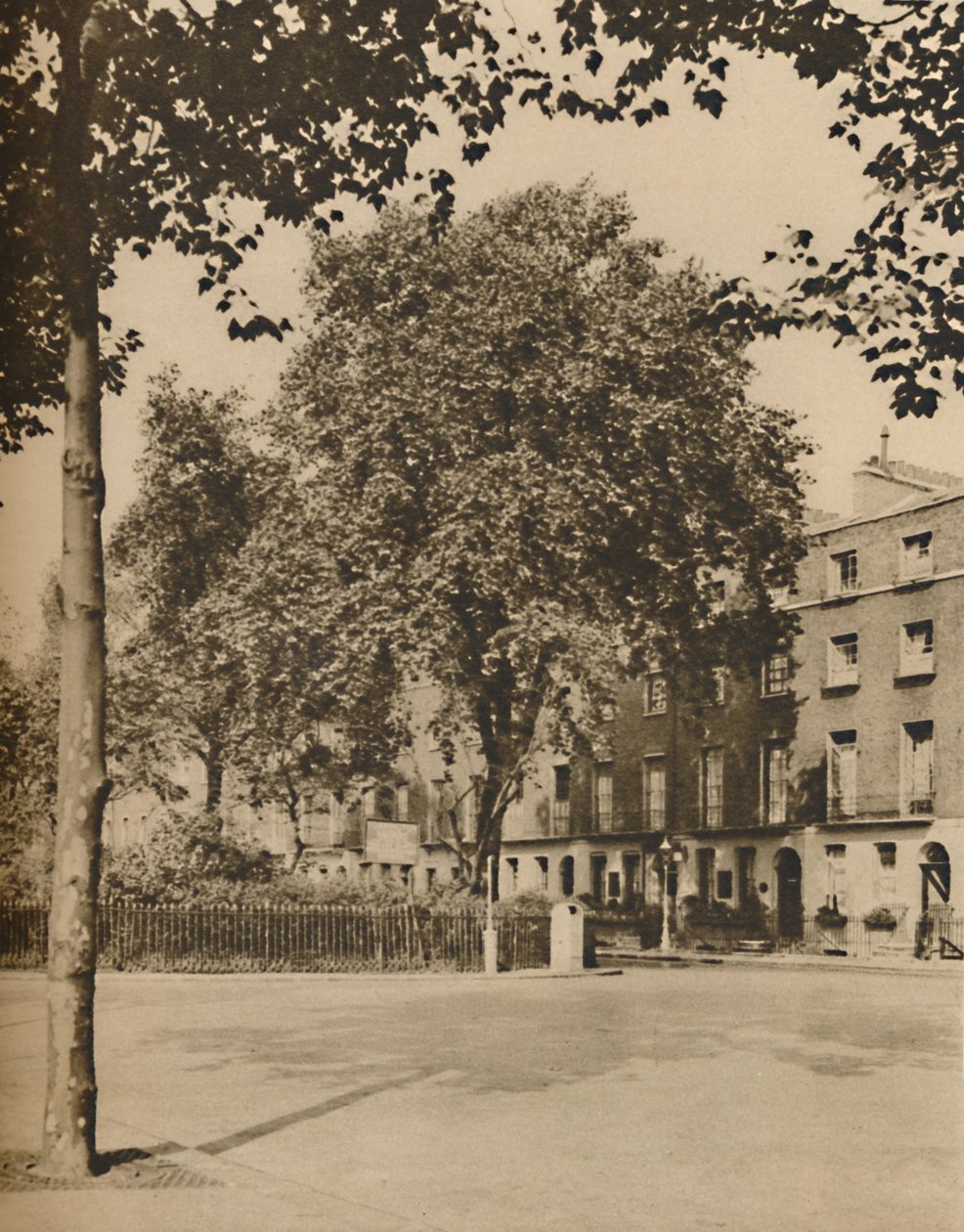 In Boarding-House Land: Die Platanen des Torrington Square, ca. 1935 von Donald McLeish