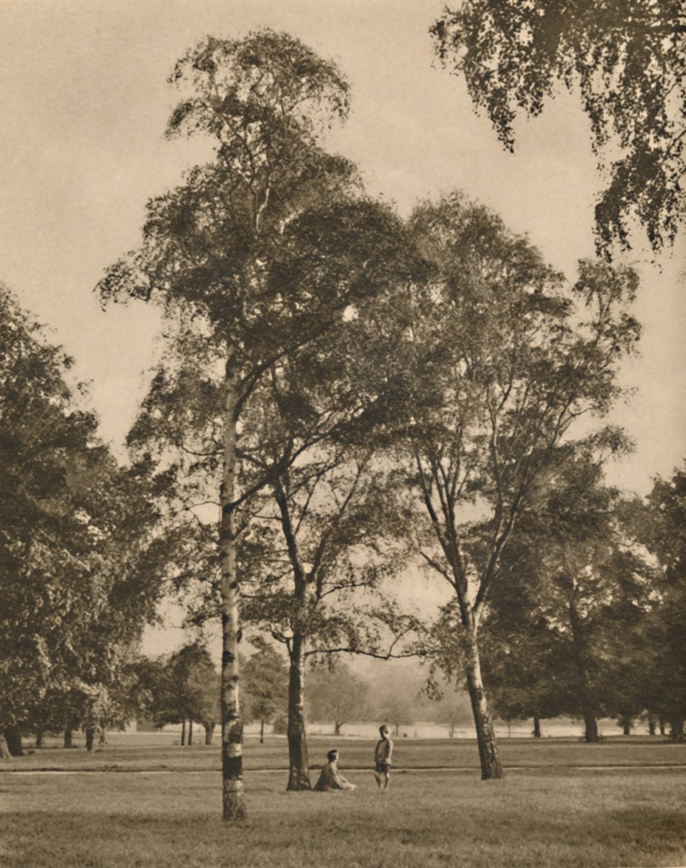 Das Spitzenwerk der Blätter: Ein Sommermorgen im Hyde Park, um 1935 von Donald McLeish