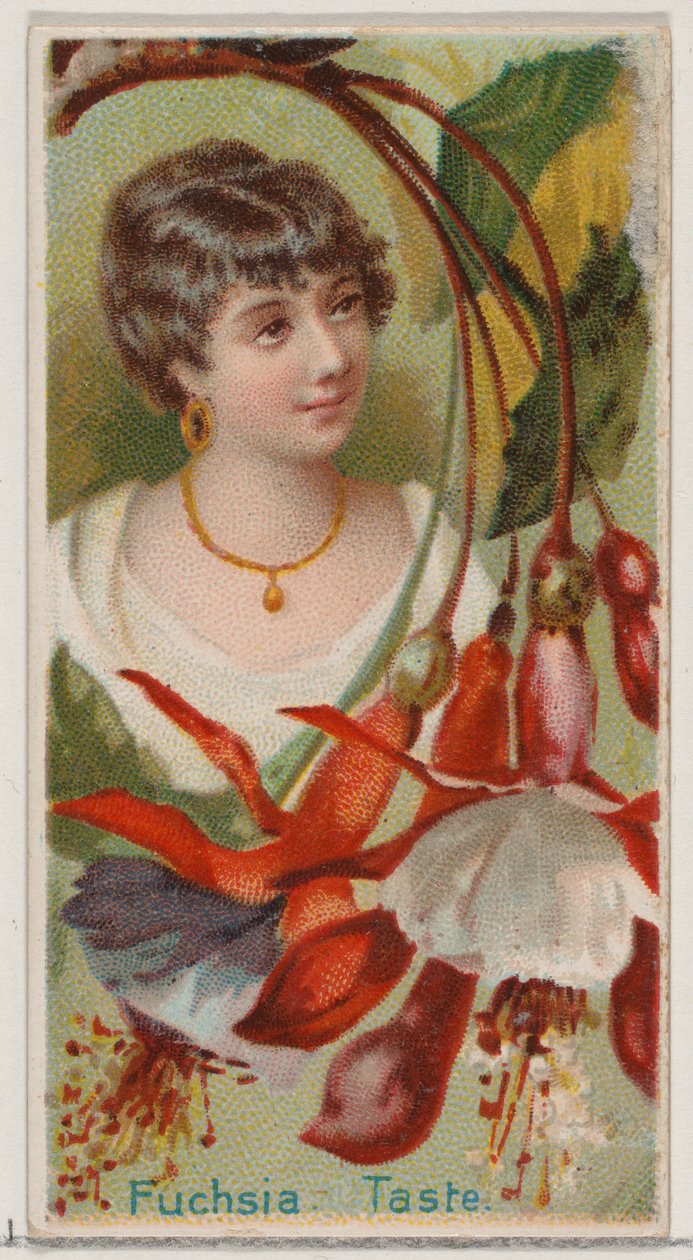 Fuchsie: Geschmack, aus der Serie Floral Beauties and Language of Flowers N75 für Duke bra..., 1892 von Donaldson Brothers