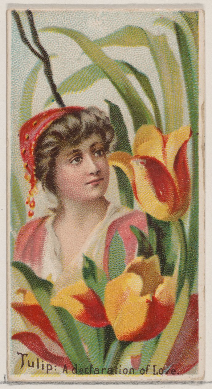 Tulpe: Eine Liebeserklärung, aus der Serie Blumenpracht und Blumensprache N75, 1892 von Donaldson Brothers