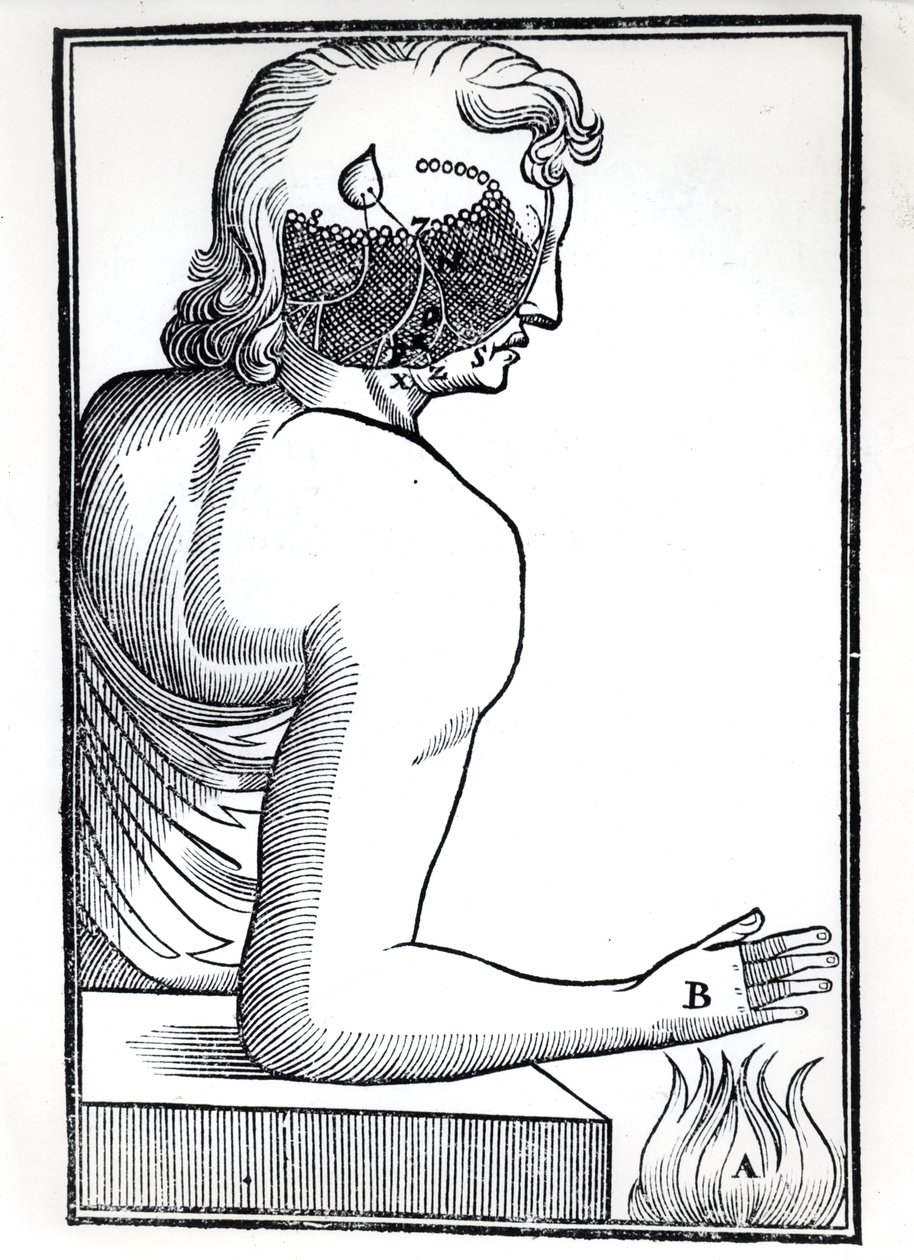 Die Wahrnehmung der Sinne, aus De Homine Figuris von René Descartes (1596-1650) veröffentlicht in Amsterdam, 1677 von Dutch School