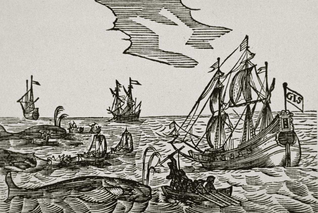 Walfangschiffe aus Jacob Segersz van der Brugges 