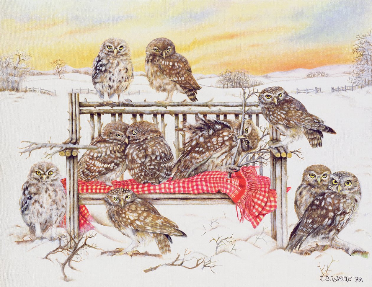 Kleine Eulen auf Zweigbank, 1999 von E.B. Watts