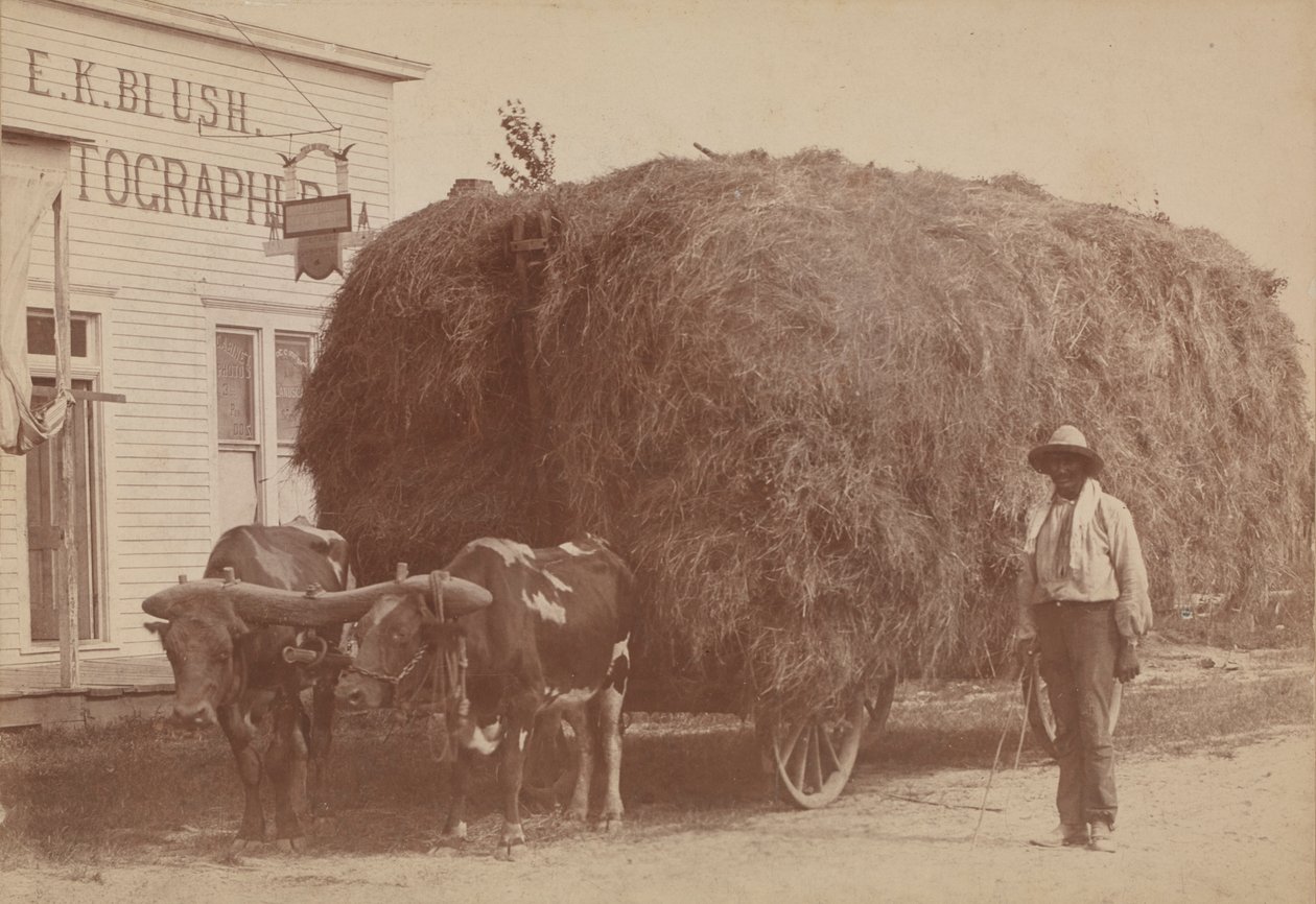 Albuminabzug eines Mannes mit einem vollen Heuwagen, 1894-1904 von E. K. Blush