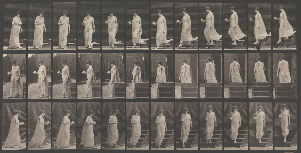 Tierlokomotion. Eine elektro-fotografische Untersuchung... der Tierbewegungen. Beginn... von Eadweard Muybridge