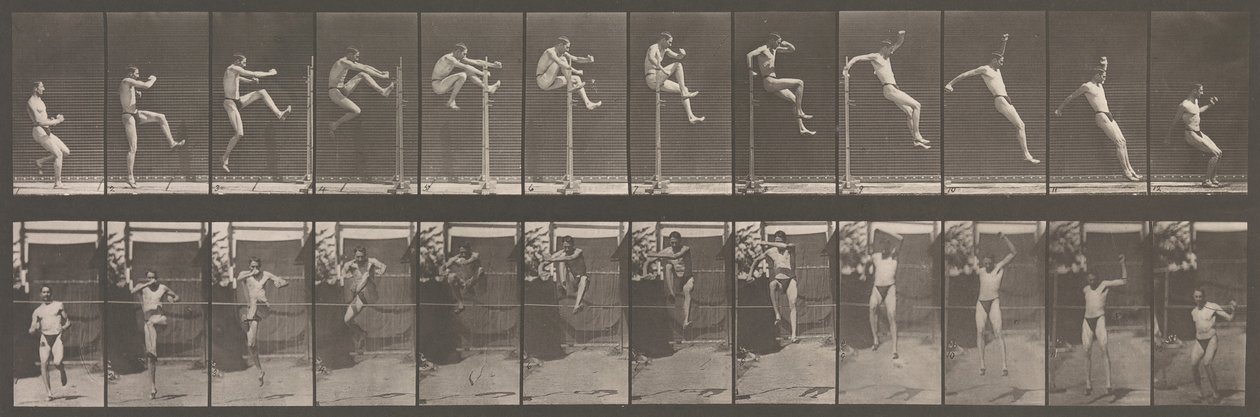 Tierbewegung. Eine elektro-fotografische Untersuchung aufeinanderfolgender Phasen von Tieren, 1880er Jahre von Eadweard Muybridge