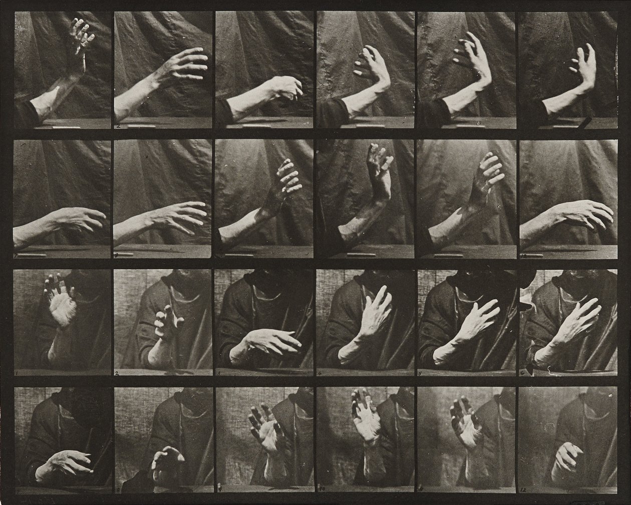 Bewegung der Hand; Takt schlagen von Eadweard Muybridge