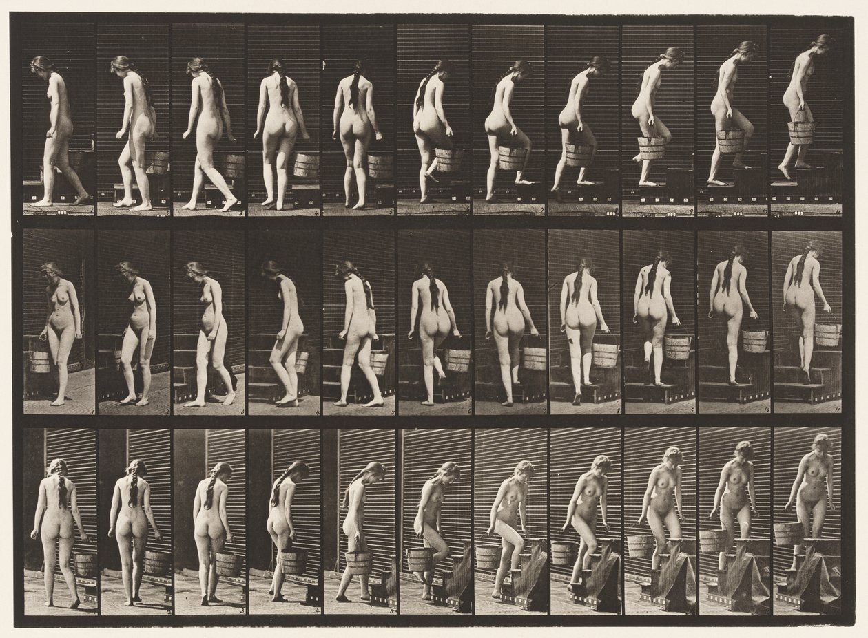 Tafel 102. Treppensteigen, Eimer Wasser in der rechten Hand von Eadweard Muybridge