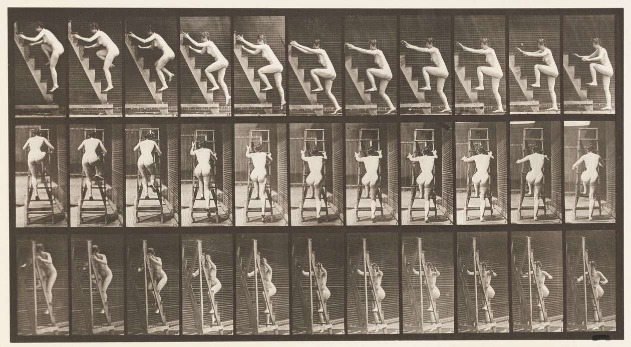 Tafel 110. Stehleiter hinaufsteigen, zwei Stufen auf einmal von Eadweard Muybridge