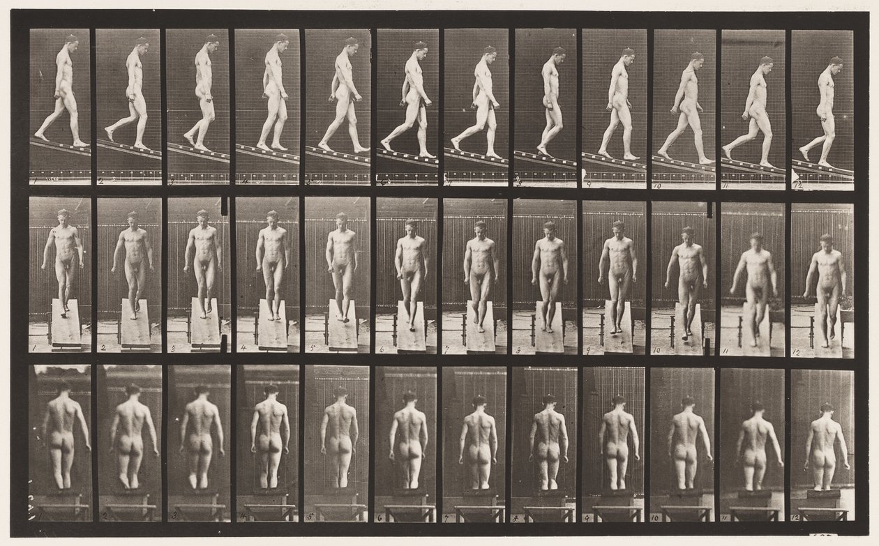 Tafel 114. Abwärts geneigt, Winkel 1 zu 4 von Eadweard Muybridge