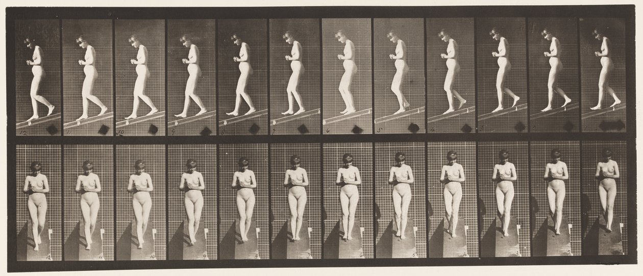 Tafel 115. Abwärtsneigung mit vor der Brust verschränkten Händen von Eadweard Muybridge