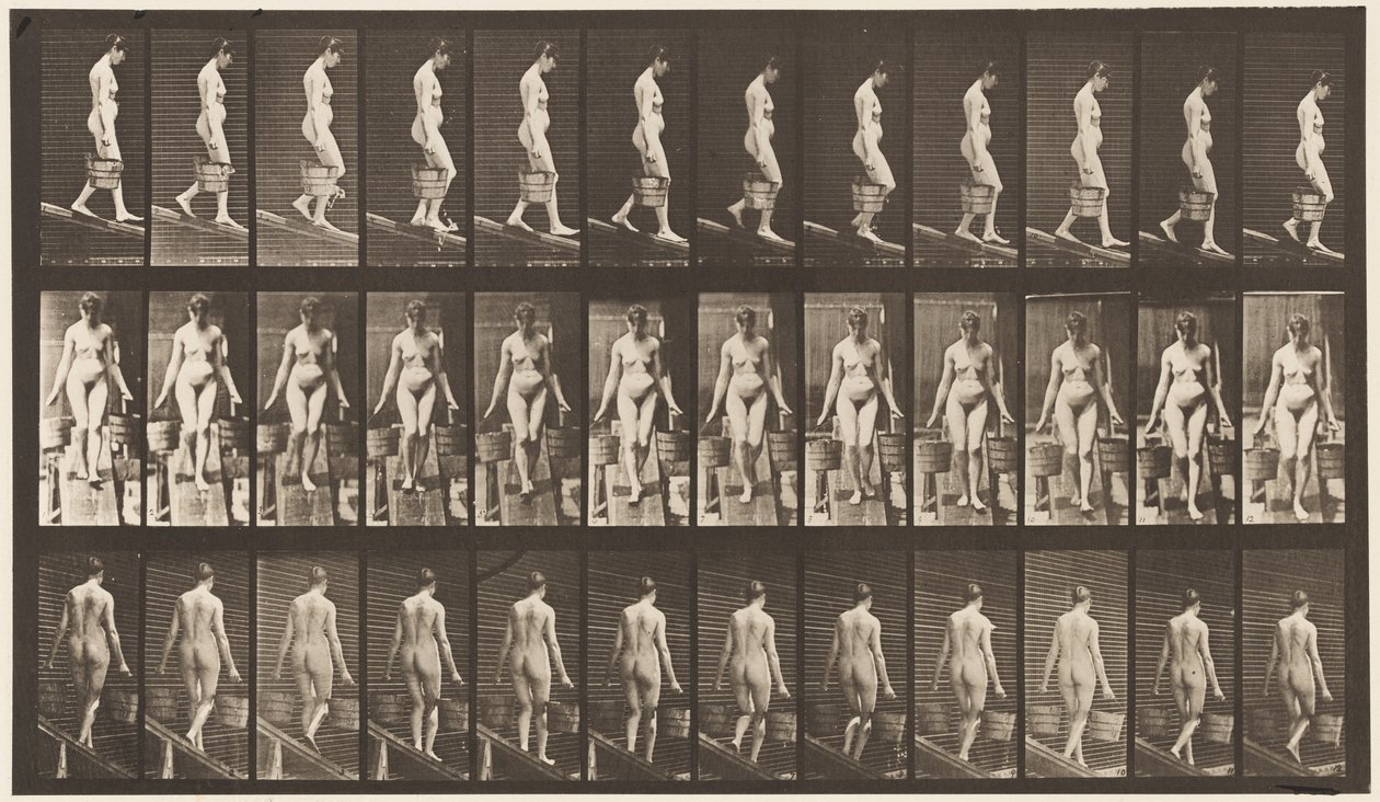Tafel 121. Steigung hinabsteigen, Eimer Wasser in jeder Hand von Eadweard Muybridge