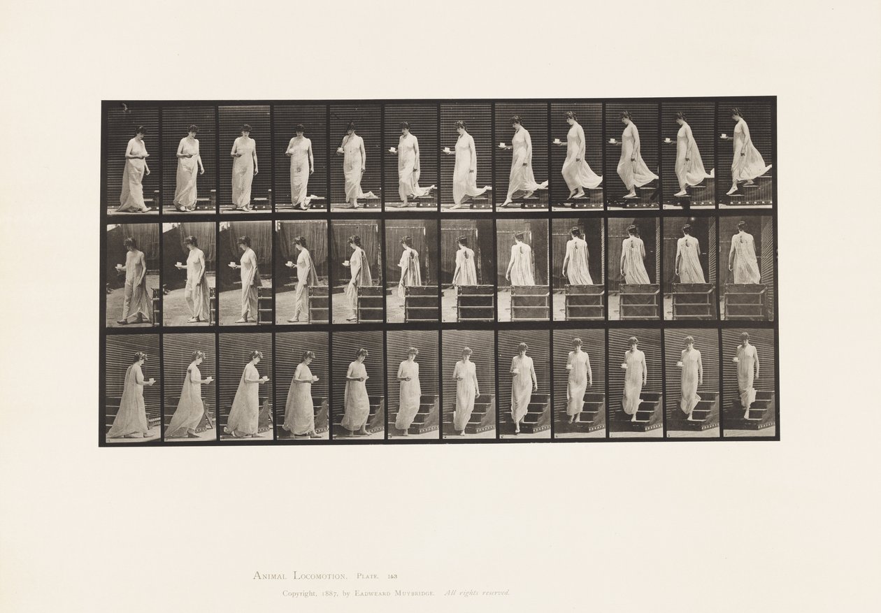 Tafel 143. Abwärtsgehen, Tasse und Untertasse in der rechten Hand drehend von Eadweard Muybridge