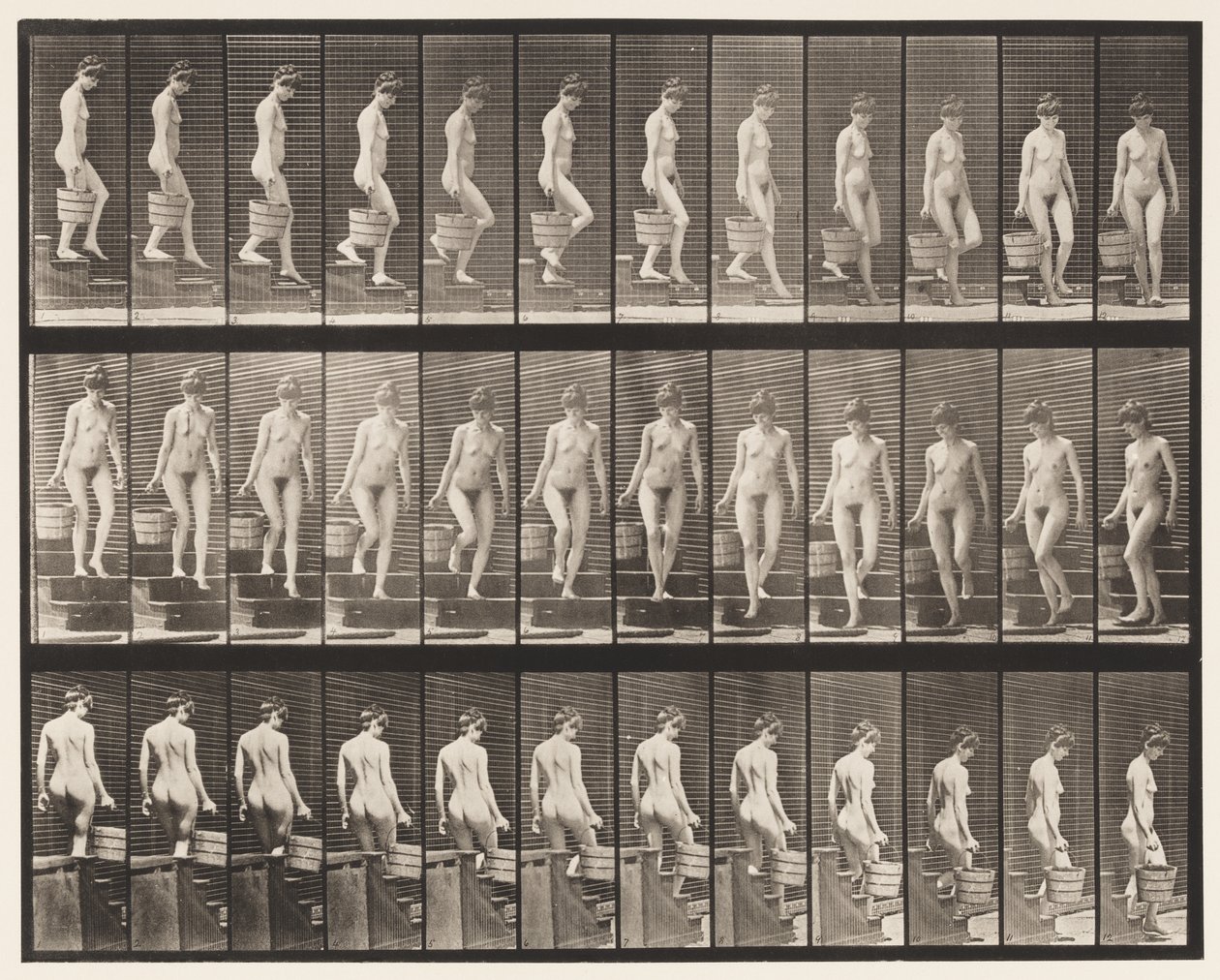 Treppen hinuntergehen; Eimer Wasser in der rechten Hand drehen von Eadweard Muybridge