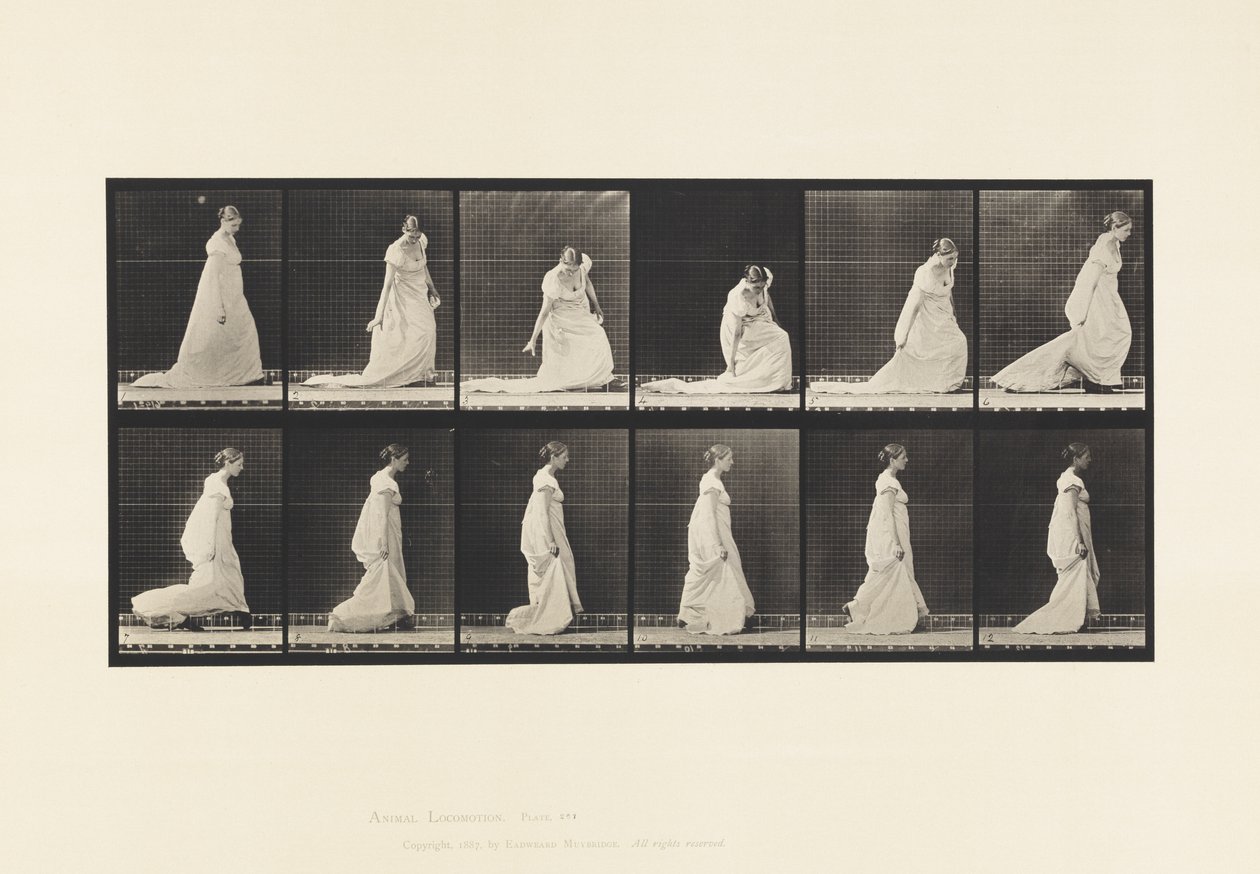 Tafel 207. Bücken und Heben Zug, 1885 von Eadweard Muybridge