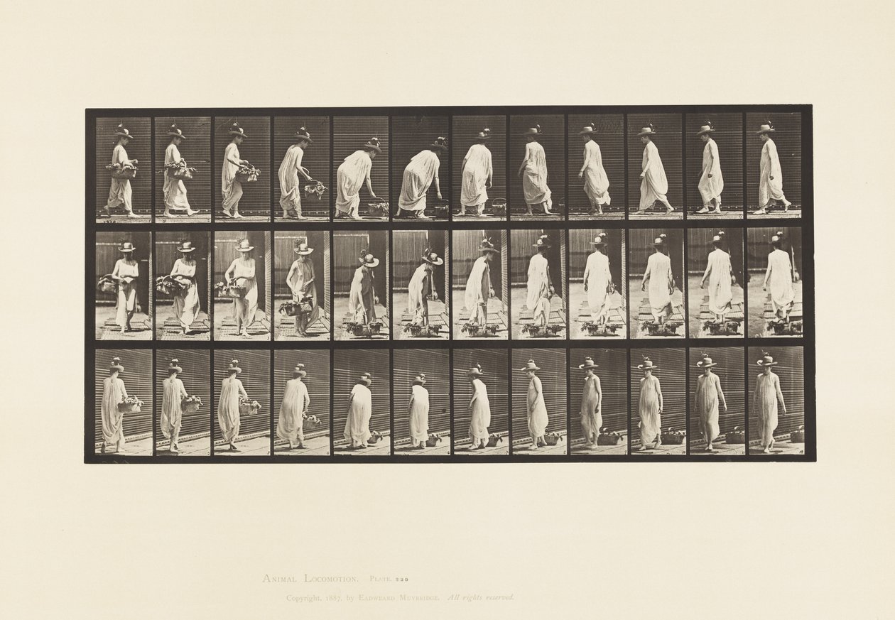 Platte 229. Korb auf den Boden stellen und Drehen von Eadweard Muybridge