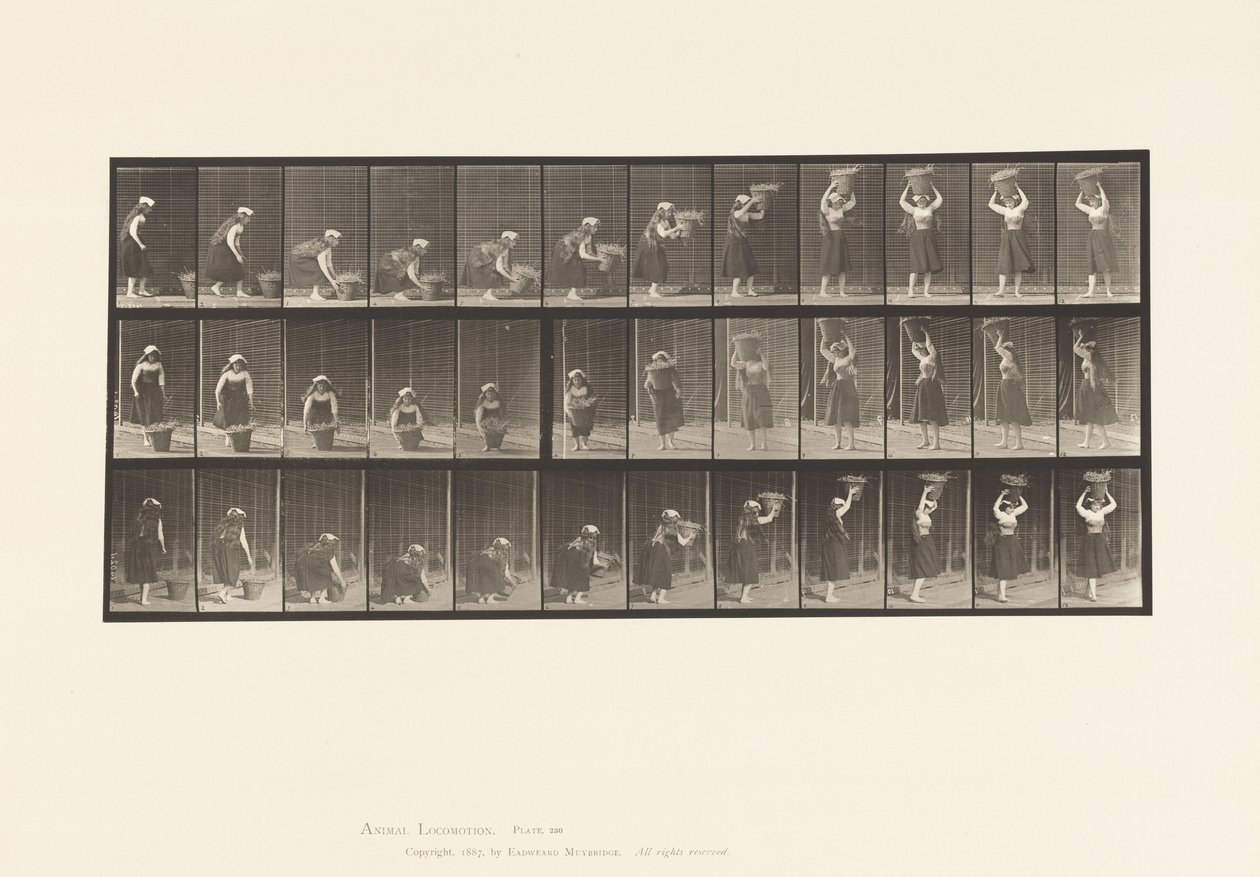 Tafel 230. Heben eines 30-Pfund-Korbs vom Boden auf den Kopf, Drehung, 1885 von Eadweard Muybridge