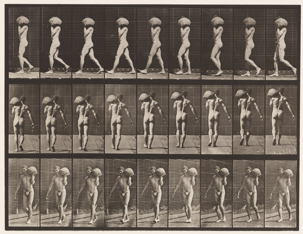 Tafel 26. Gehen, 75-Pfund-Stein auf der linken Schulter tragen von Eadweard Muybridge