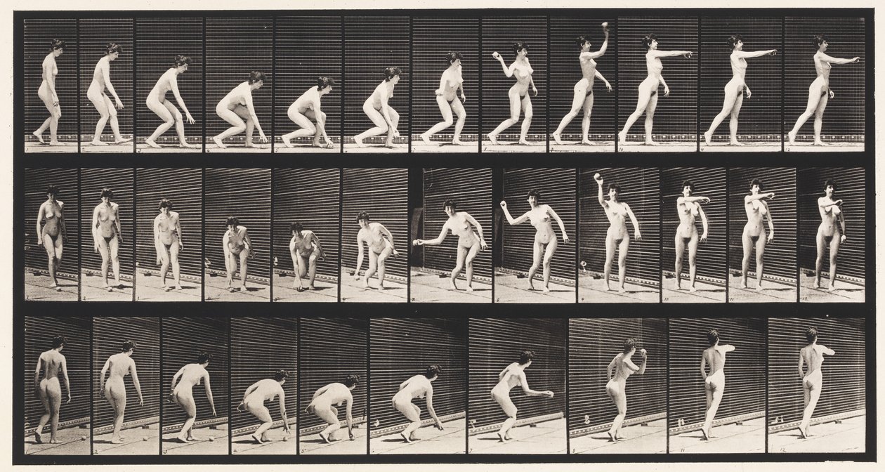 Tafel 303. Einen Ball aufheben und werfen, 1872-1885 von Eadweard Muybridge