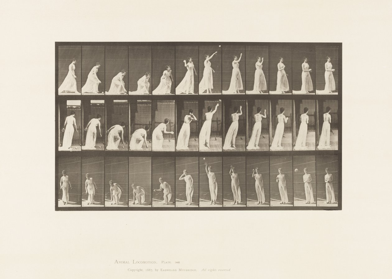 Tafel 305. Einen Ball aufheben und werfen von Eadweard Muybridge