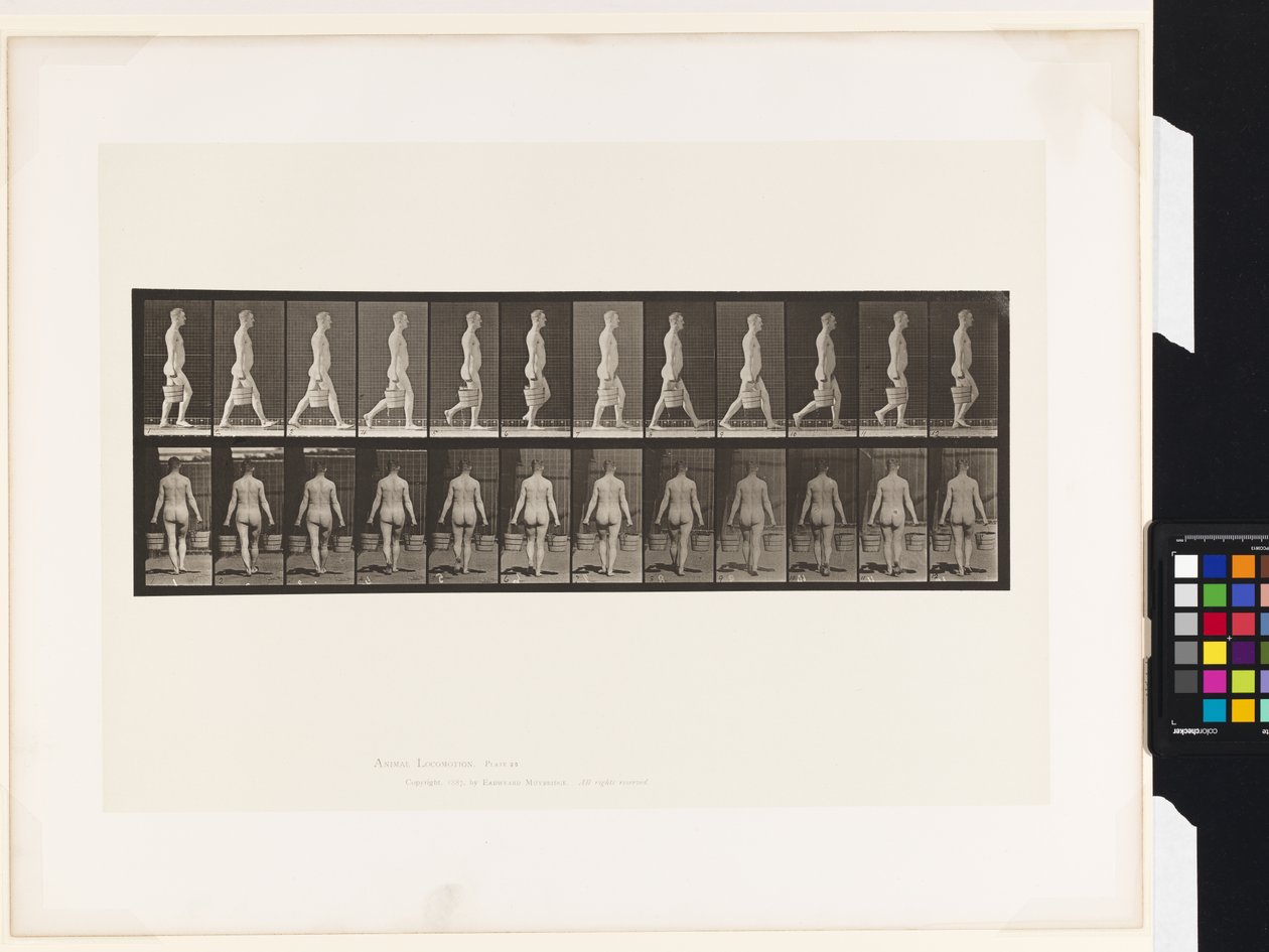 Tafel 30. Gehen, Eimer Wasser in jeder Hand tragend von Eadweard Muybridge