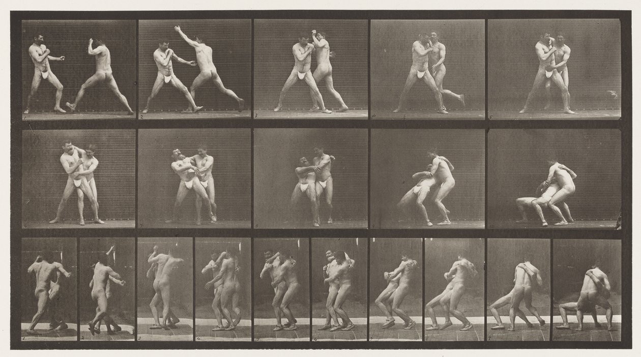 Tafel 331. Boxen; Stop für Cross-Buttocks von Eadweard Muybridge