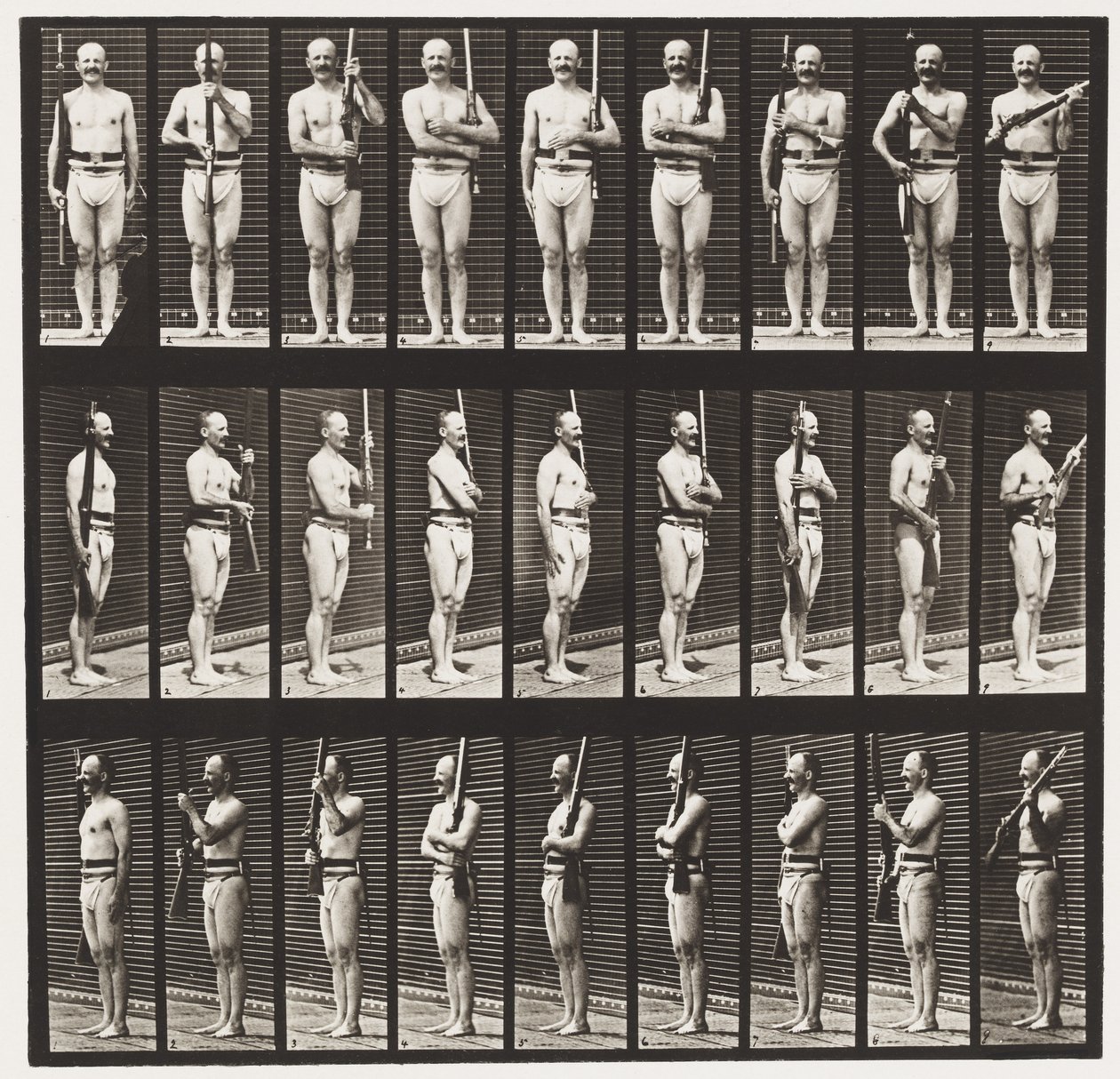 Support Arms und Arms Port von Eadweard Muybridge