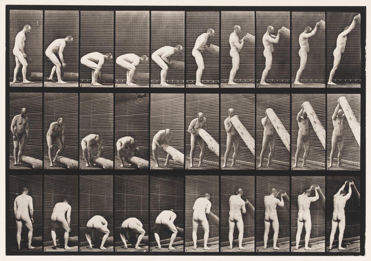 Tafel 382. Einen Baumstamm aufrichten, 1872-1885 von Eadweard Muybridge