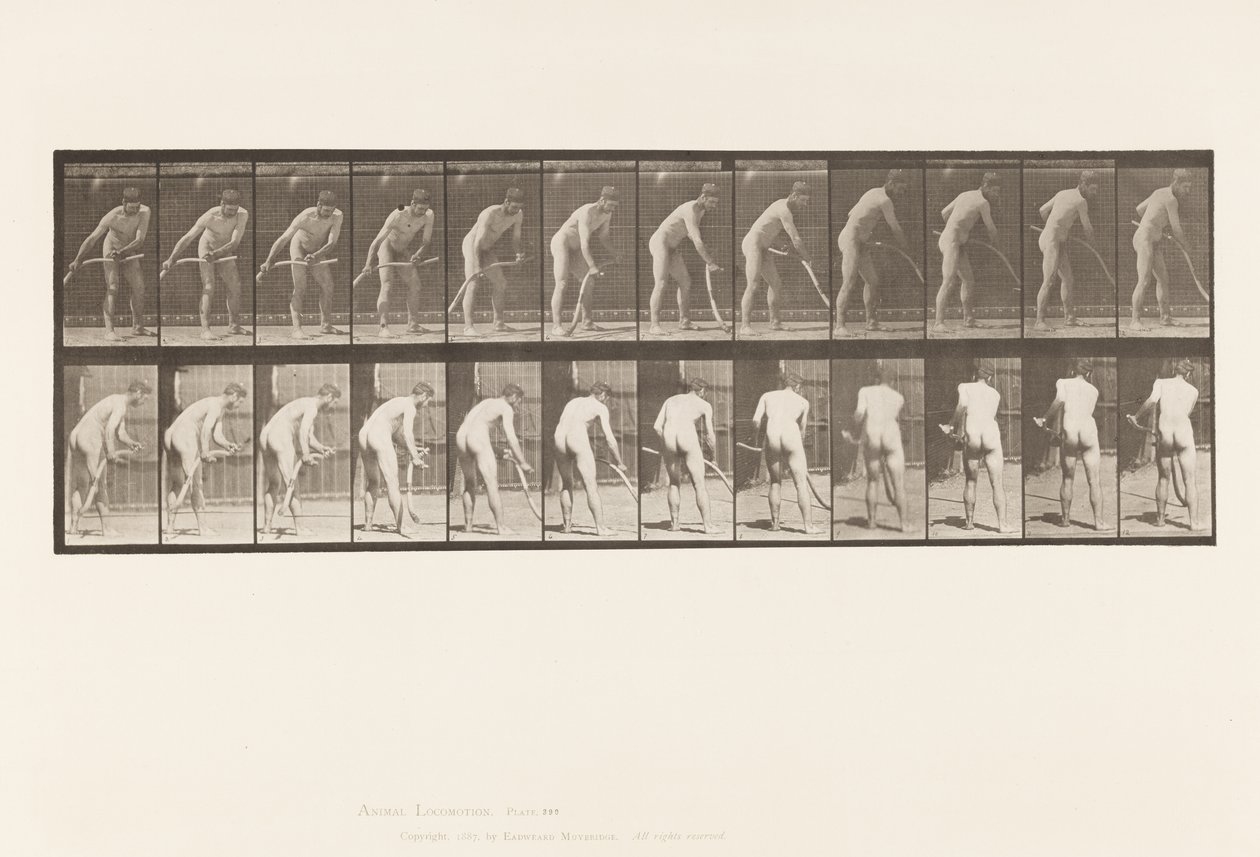 Tafel 390. Bauer, Gras mähen von Eadweard Muybridge