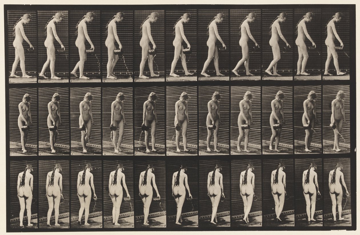 Tafel 42. Gehen, Wasser aus einem Krug gießen von Eadweard Muybridge