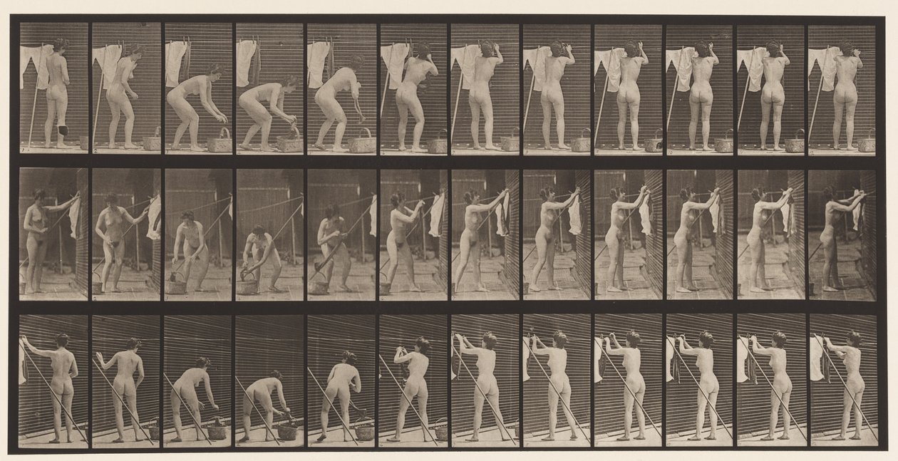 Tafel 434. Wäsche auf die Leine hängen von Eadweard Muybridge