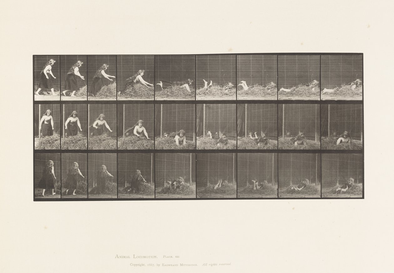 Tafel 455. Sich auf einen Heuhaufen werfen von Eadweard Muybridge